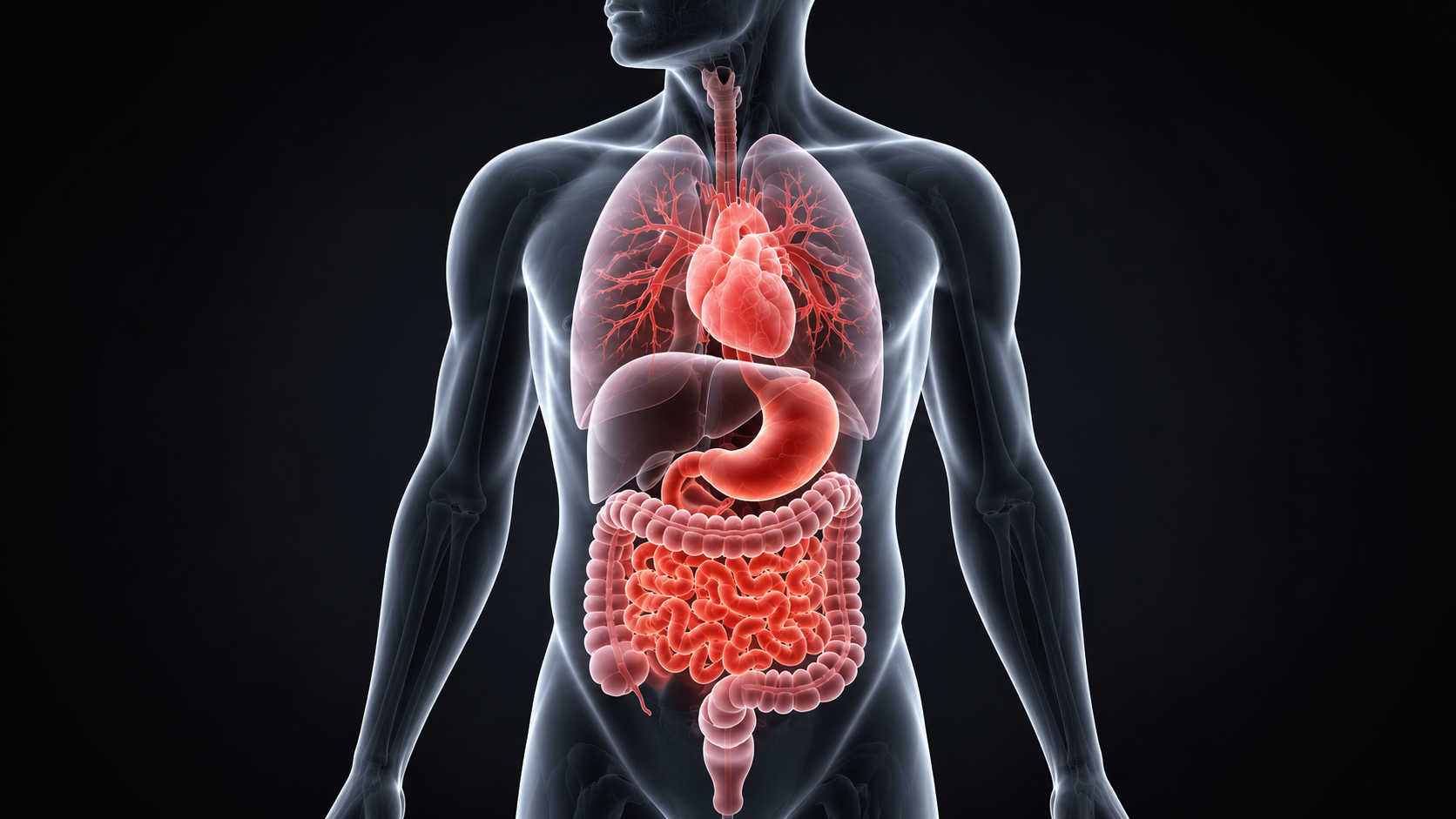 Patient-specific organoid production service