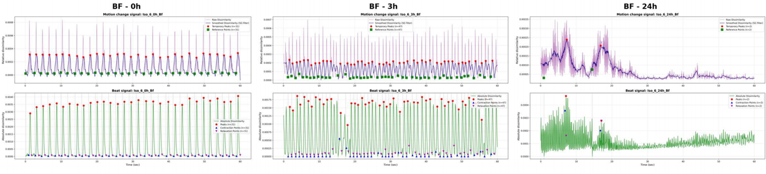 약물처리 후 시간별 심박동변동 분석
